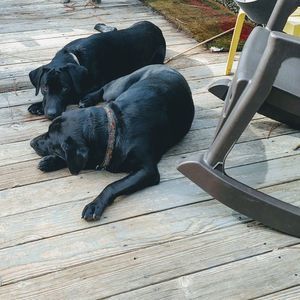 Meet your Posher, Linda